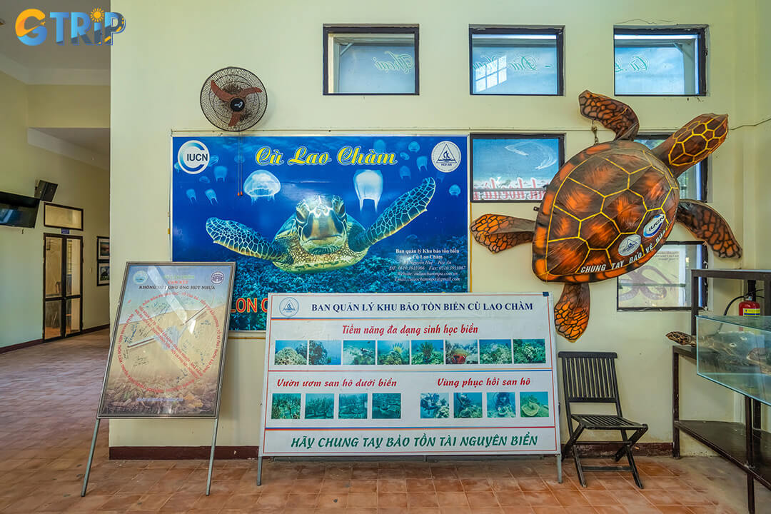 Explore nearby highlights like the Cham Ancient Well, Tan Hiep Market, Eo Gio, and pristine beaches for a fuller Cham Island experience