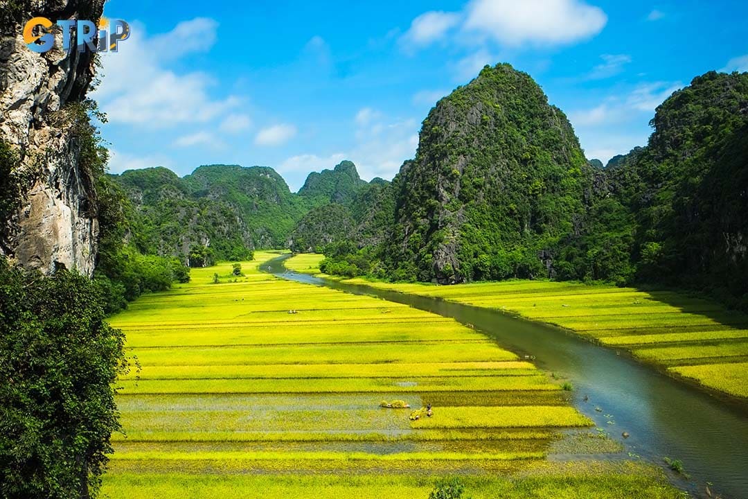 Explore Ninh Binh’s rice fields with eco-friendly tours that support sustainable