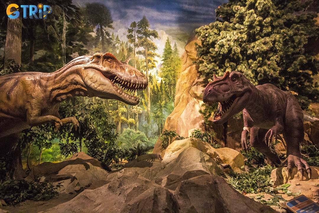 Fantasy Park features three themed floors, each offering a different mix of thrills, games, and discovery for a well-rounded indoor adventure