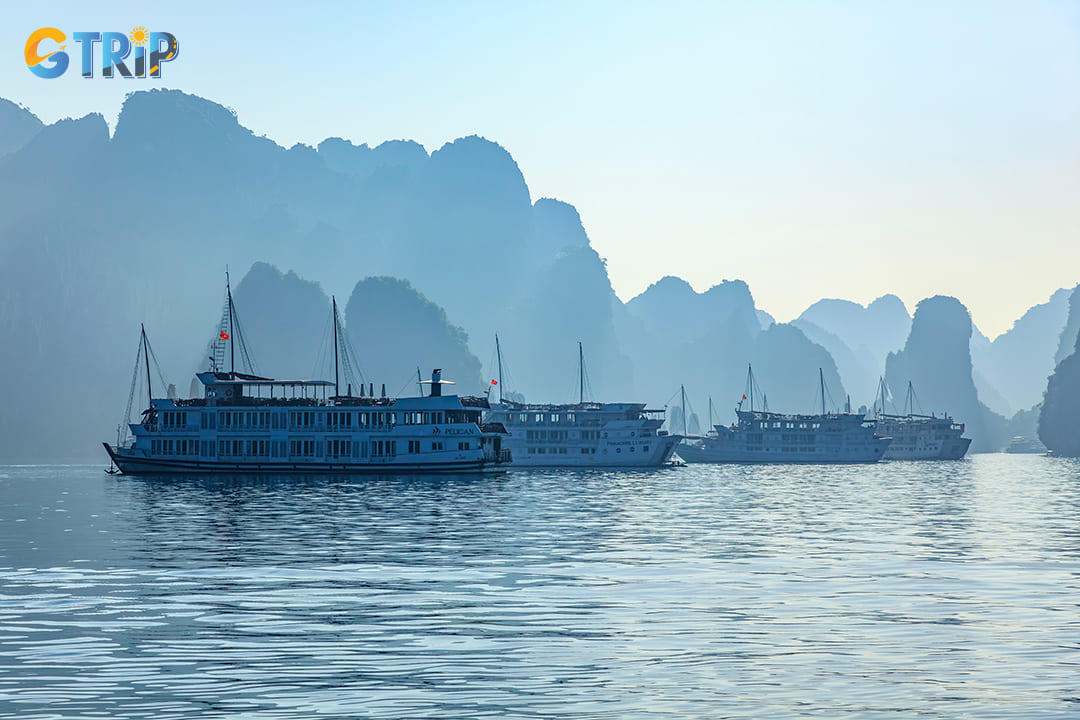 February can be a great time to visit Ha Long Bay, offering a unique blend of mild weather and seasonal events