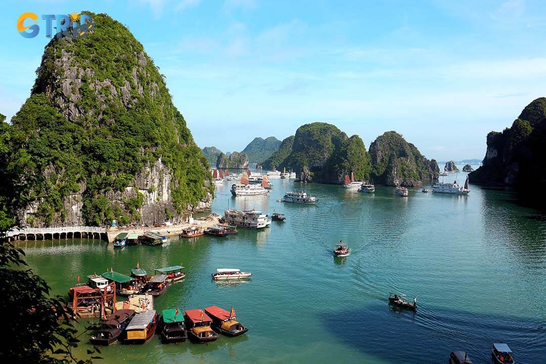 Fighting Cock Islets offer stunning photo opportunities with dramatic shapes and emerald waters, especially at sunrise and sunset, capturing the essence of Ha Long Bay