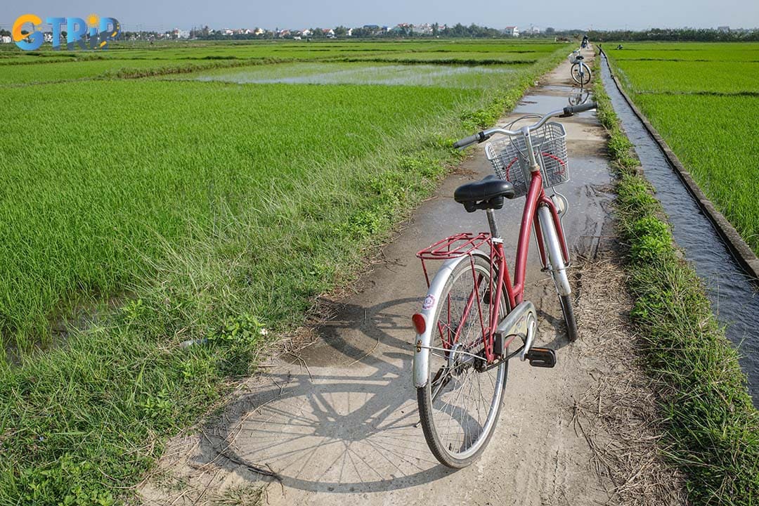 Finding a bicycle for your adventure is incredibly easy, with several convenient options available