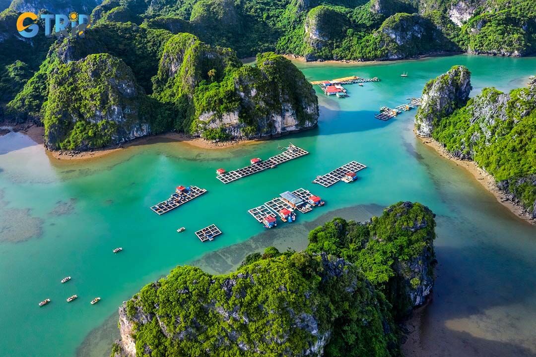 Fishing tours in Ha Long Bay let you join local fishermen, learn traditional fishing techniques, and explore floating villages