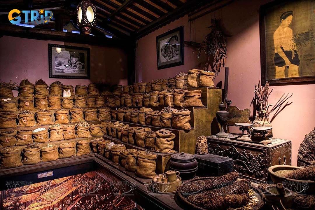 FITO Museum is the first and most comprehensive museum dedicated to traditional Vietnamese medicine