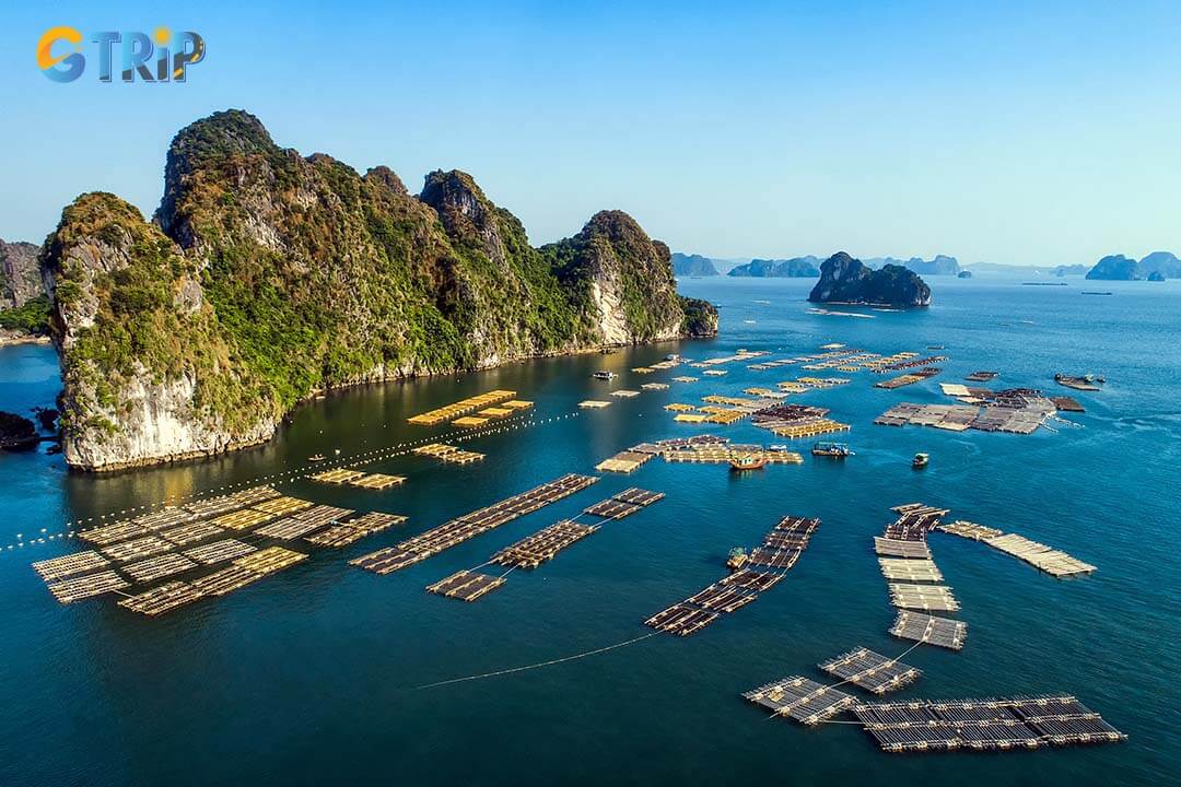 Floating fishing village and rock island in Bai Tu Long Bay