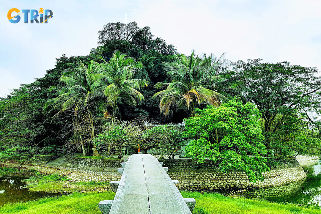 Flora and fauna of the mountain