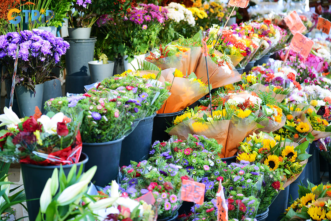 Flower is one of the most common gifts for women