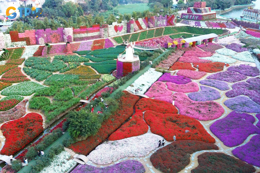 Flower Valley West Lake offers a vibrant escape from urban life with its sprawling flower fields, themed gardens, and picturesque landscape