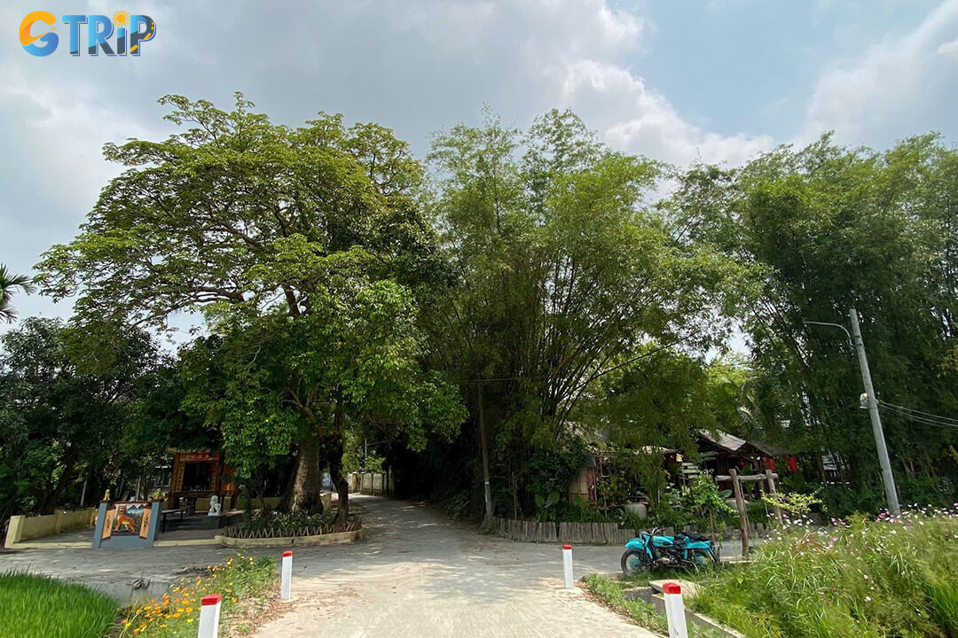 For a comfortable and respectful visit to Phong Nam Ancient Village, following a few practical tips will help you better enjoy the local culture