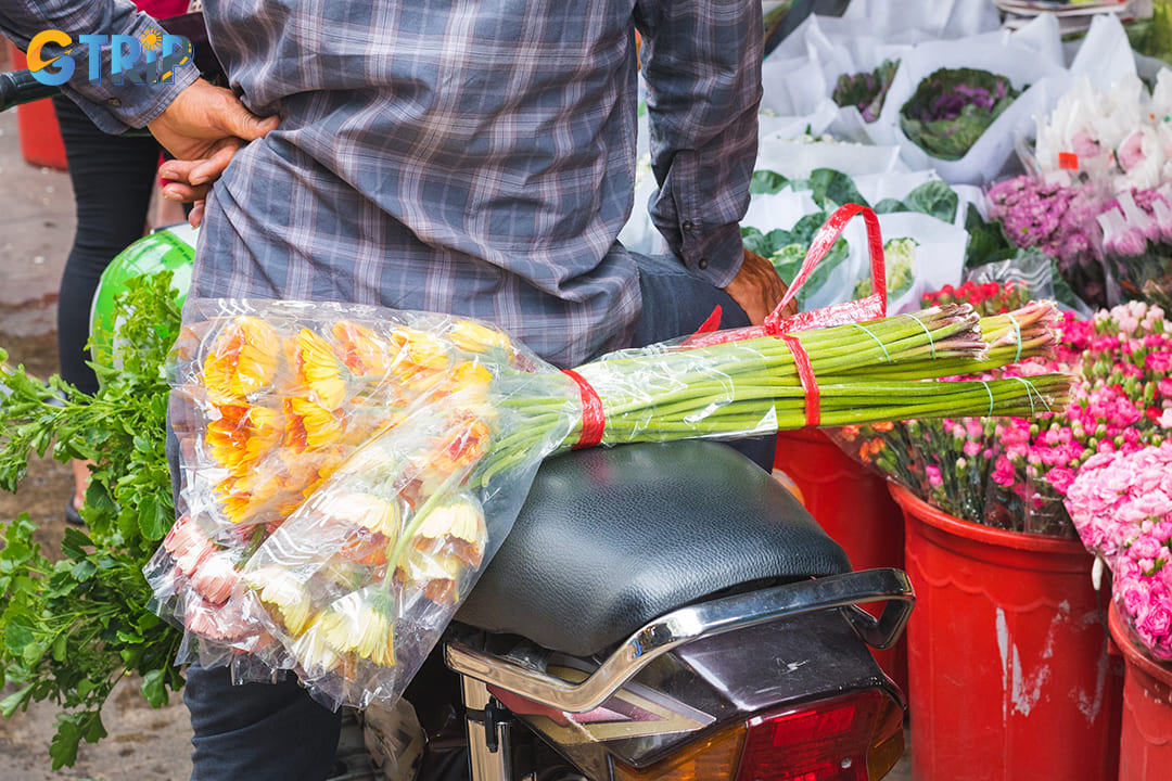 For a faster and more adventurous ride, xe om (motorcycle taxis) are a popular alternative