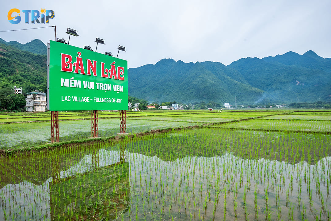 For generations, the people of Lac Village have lived off the land, practicing wet rice farming and shifting cultivation