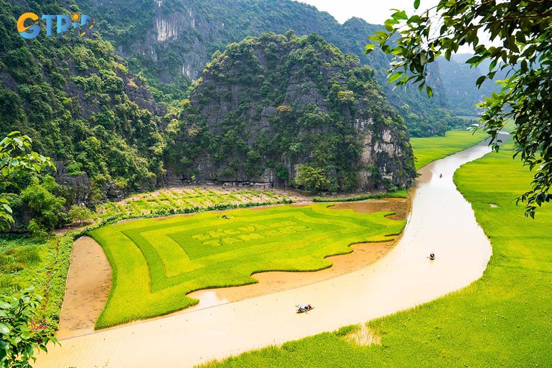 Frame the rice fields with paddies in the foreground and limestone peaks behind to highlight the contrast between nature and cultivation