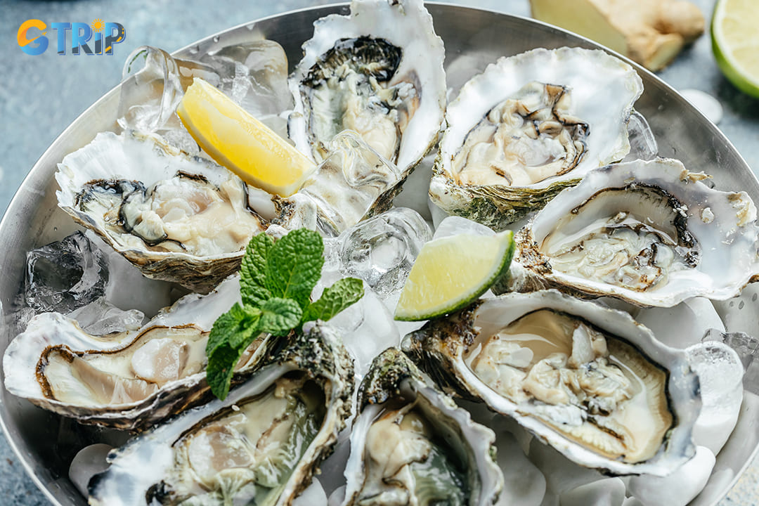 Fresh oysters in Ha Long Bay are renowned for their natural sweetness, briny freshness, and firm texture