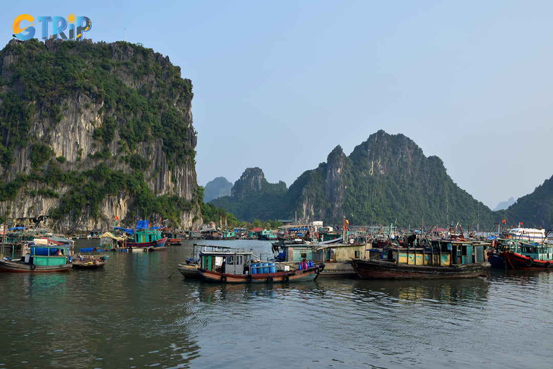 From Cai Rong Port, you can board either a ferry or a speedboat to Quan Lan Island