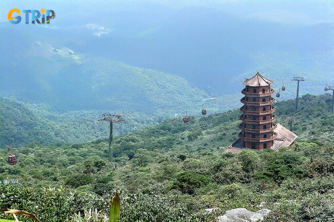 From the cable car, you can see the Yen Tu Forest