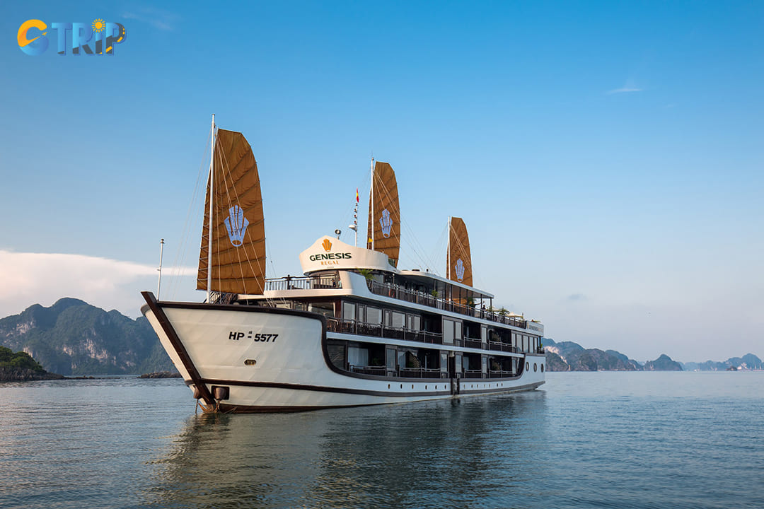 Genesis Luxury Cruise offers top-notch service, luxury cabins, and unique experiences on the bay