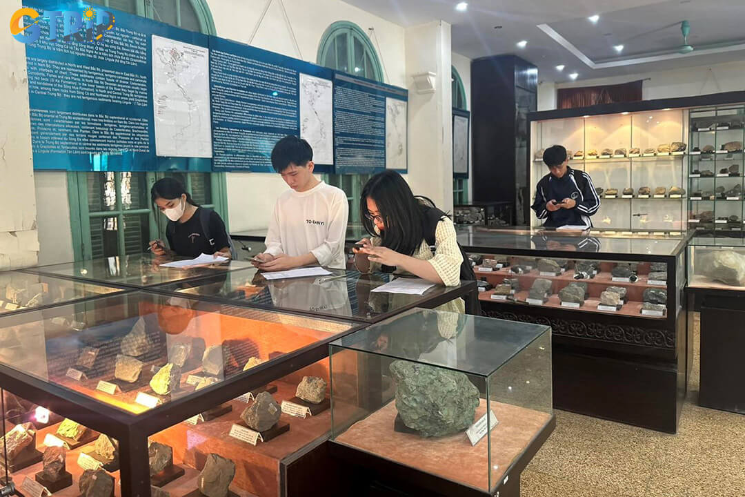 Geological Museum showcases over 4,000 fossils, gems, and minerals, offering an engaging look at the country’s geological evolution from prehistoric times to today