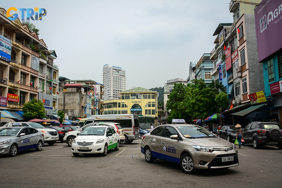 Tourists can go to Ha Long by cars