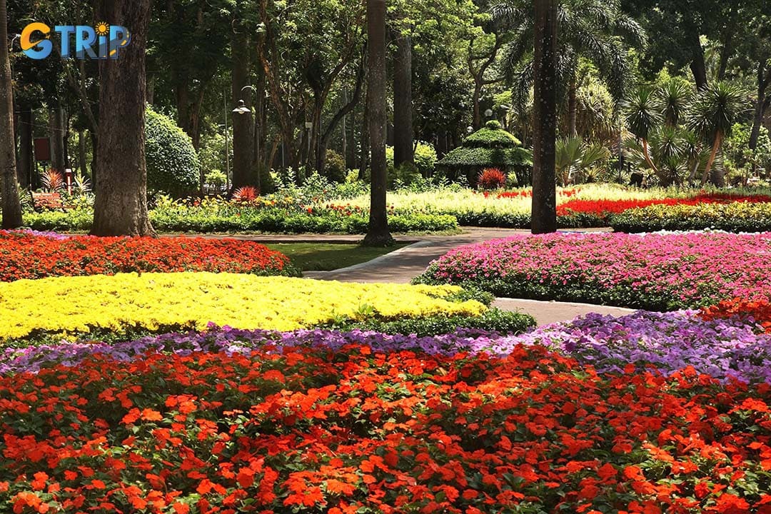 Getting to Tao Dan Park is straightforward and convenient from anywhere in Ho Chi Minh City