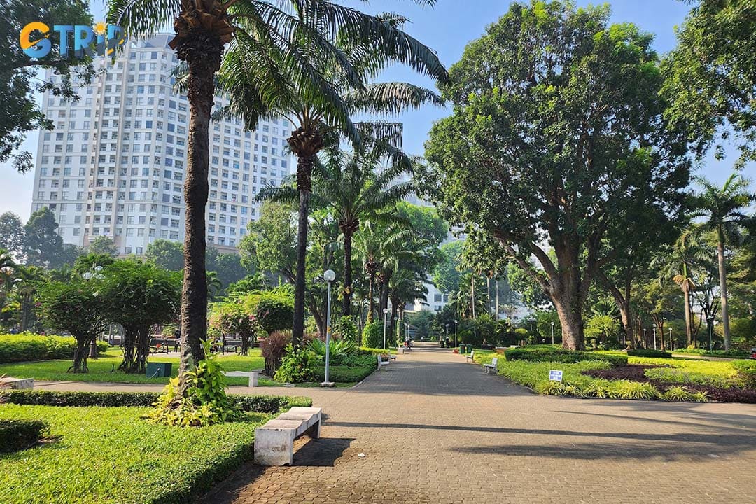 Gia Dinh Park is one of Ho Chi Minh City’s largest and most vital green spaces, serving as a dynamic hub for relaxation, exercise, and community activities