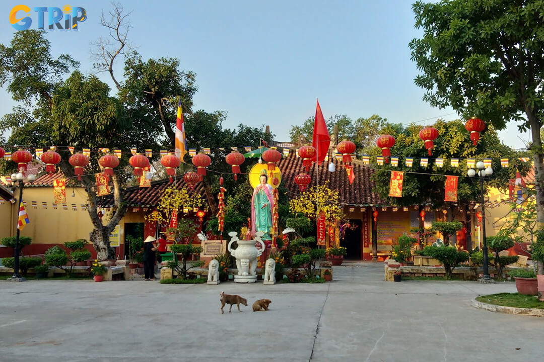 Giac Vien Pagoda serves as a vibrant community center, offering dharma classes, youth retreats, and charitable programs that embody Buddhist compassion