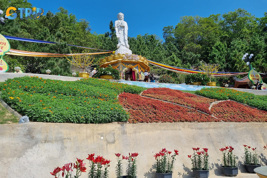 Green spaces, environmental cleanliness, and eco-friendly practices of the pagoda