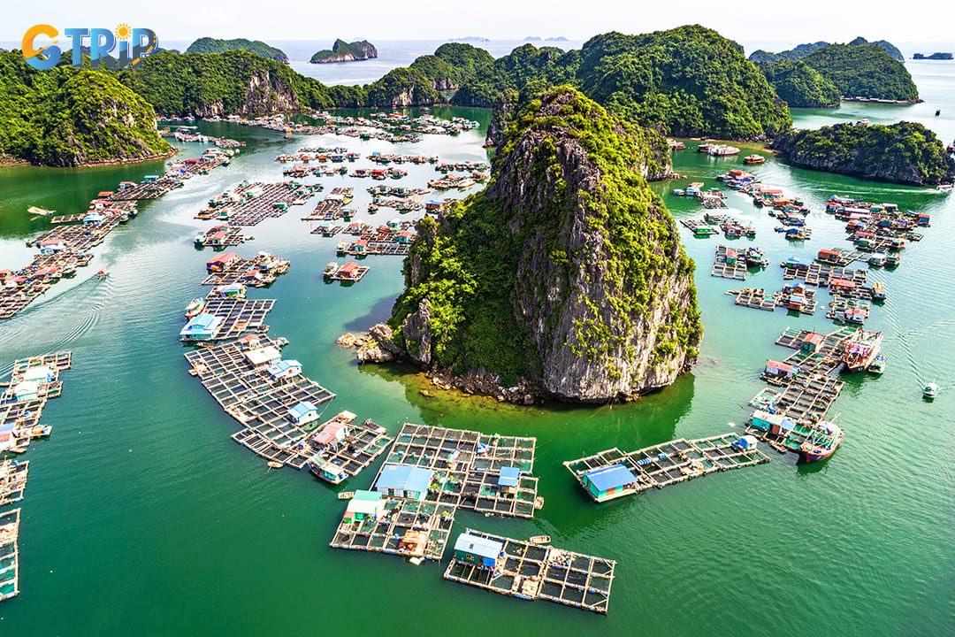 Ha Long Bay is home to several floating villages, such as Cua Van and Vung Vieng