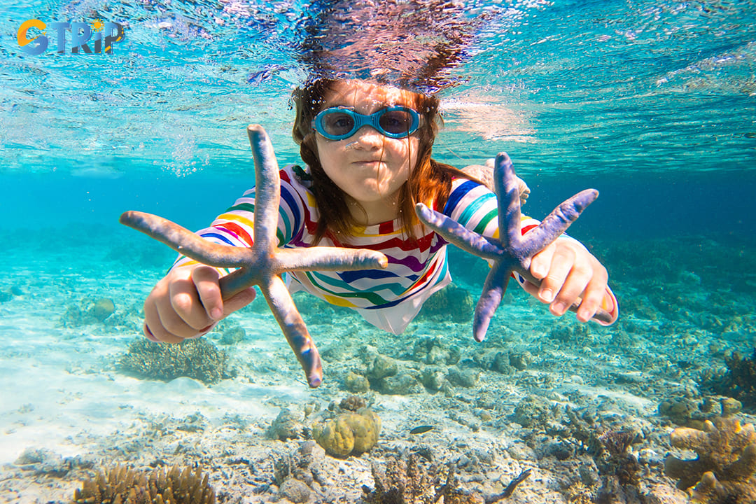 Ha Long Bay offers various types of snorkeling tours to accommodate different needs and interests