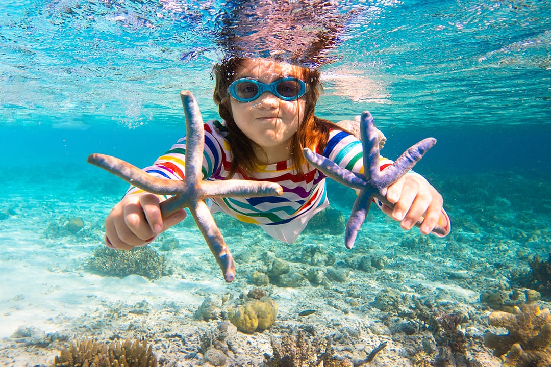 Ha Long Bay Snorkeling: Spots To Snorkeling, Tips & Tours