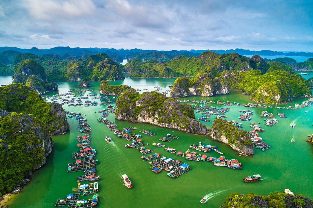 Hai Phong (City)