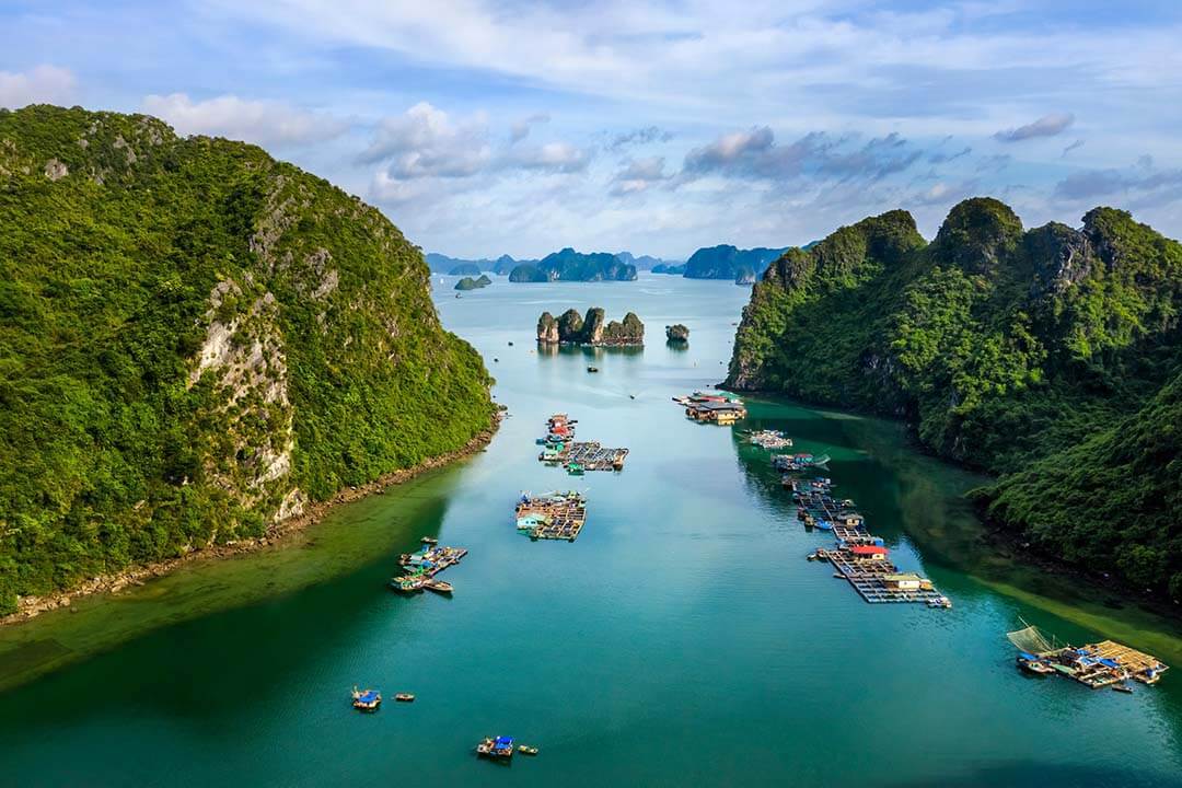 Halong Bay Vs Ninh Binh: Which Place Is More Worth Traveling To?