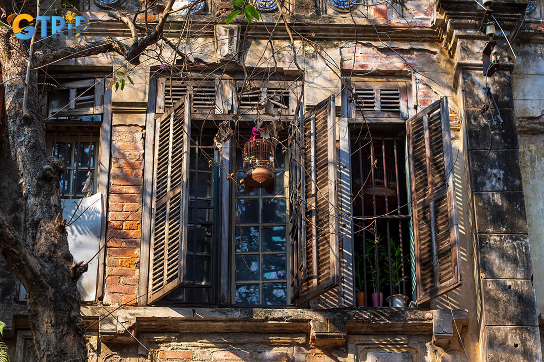 Hang Bac Street is a photographer's delight, offering a rich tapestry of visual contrasts