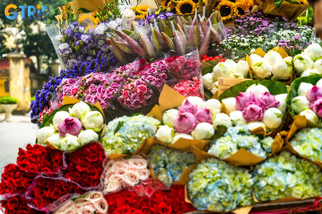Hanoi in January requires planning for cool weather, Tet closures, and seasonal changes, but with the right prep, you’ll enjoy the city’s festive charm and rich culture