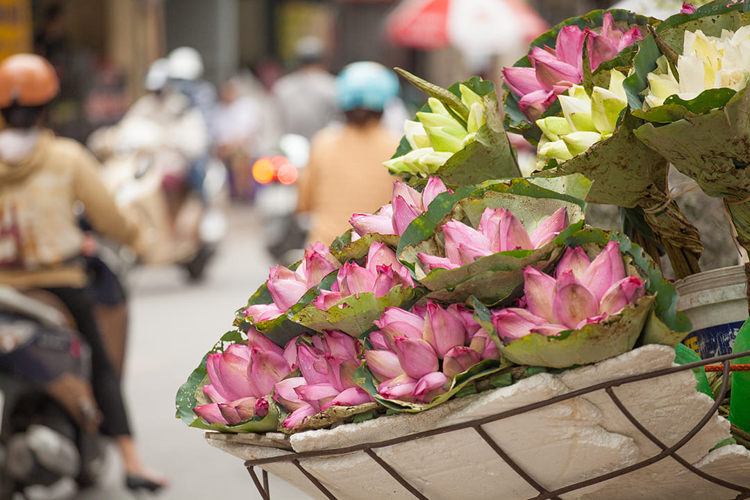 Hanoi in June: Weather, Things to Do, Local Events & Travel Tips