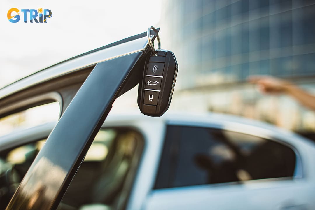 Hanoi Transfer Service focuses on providing premium transportation solutions with newer model vehicles