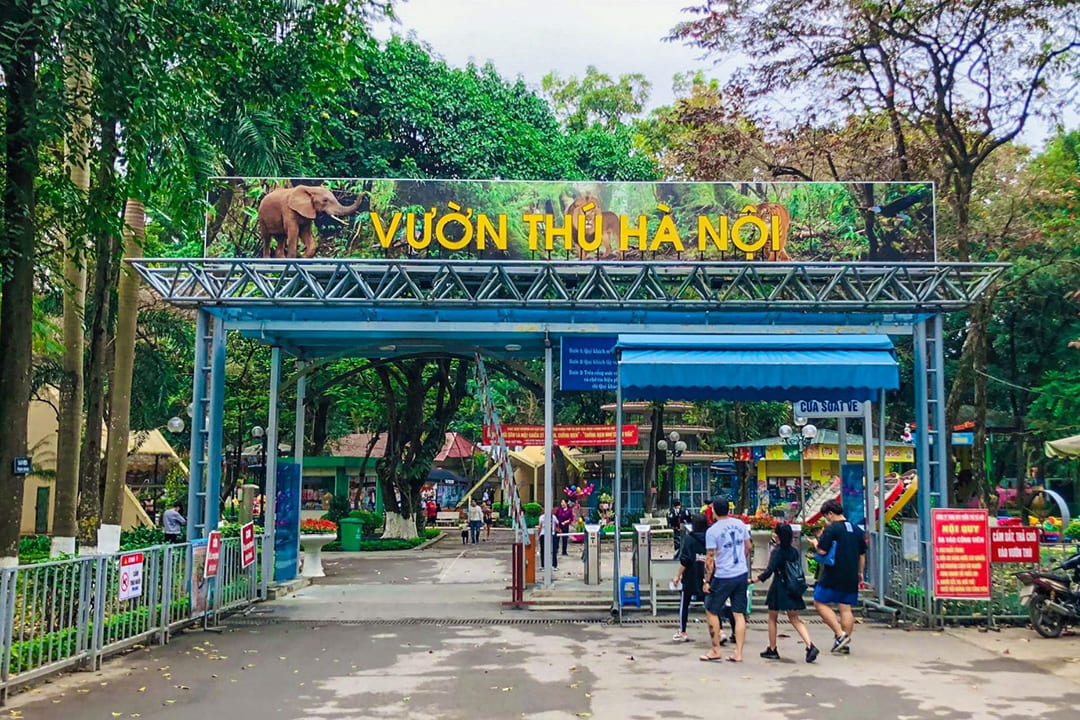 Hanoi Zoo (Thu Le Park): A Green Destination in the Heart of the Capital