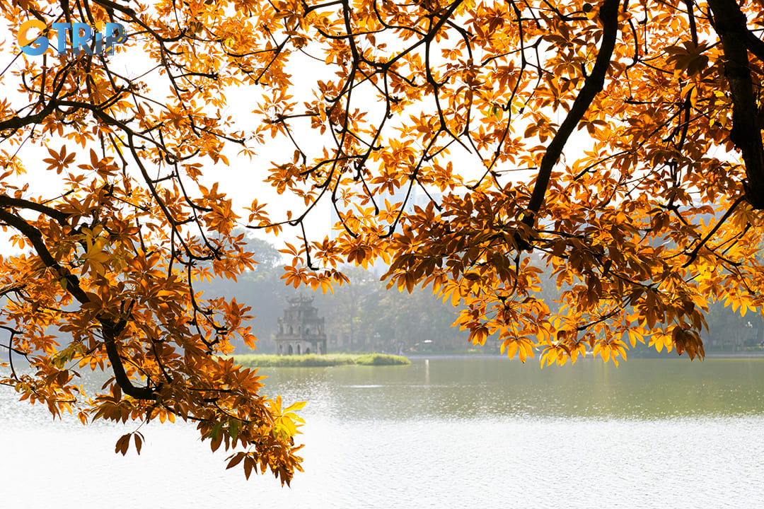 Hanoi's climate varies dramatically throughout the year, significantly impacting your travel experience