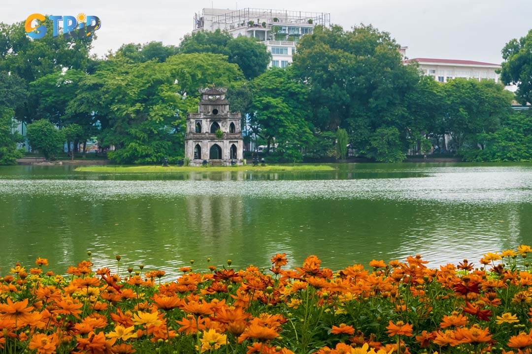 Long Bien Market is Hanoi's largest wholesale market, offering an authentic, bustling experience with fresh produce arriving at dawn and vendors haggling for daily supplies