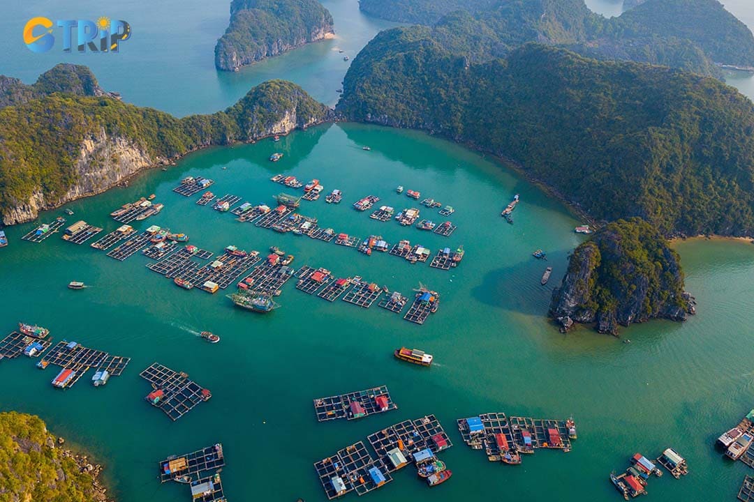 The best time to visit this floating village is from April to June