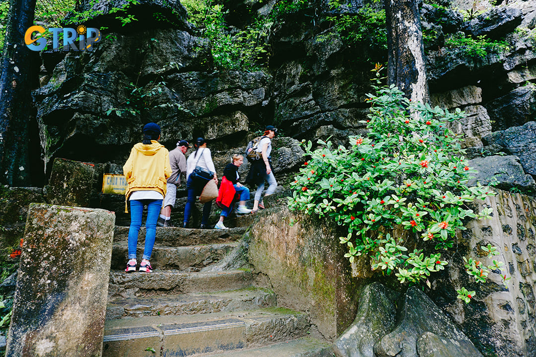 Enjoy the scenic hiking trails in Bich Dong Pagoda