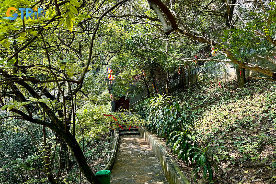 Hiking and walking paths inside Am Tien Cave will give you a comfortable feeling to mingle with nature