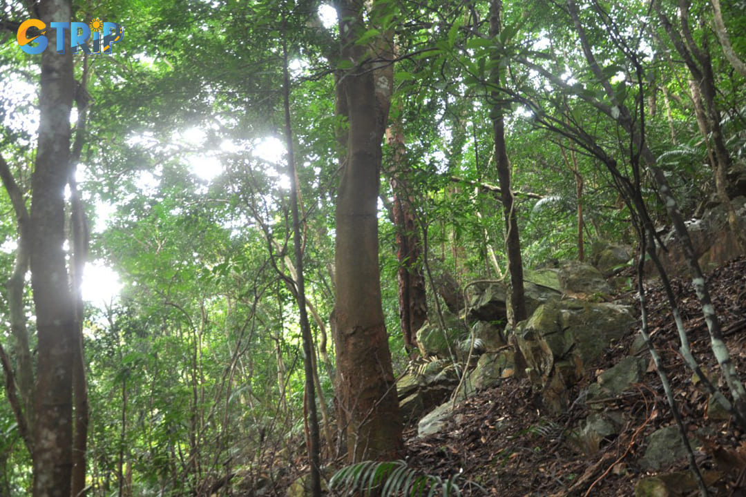 Hiking here is both an adventure and an opportunity to connect with nature on a deeper level