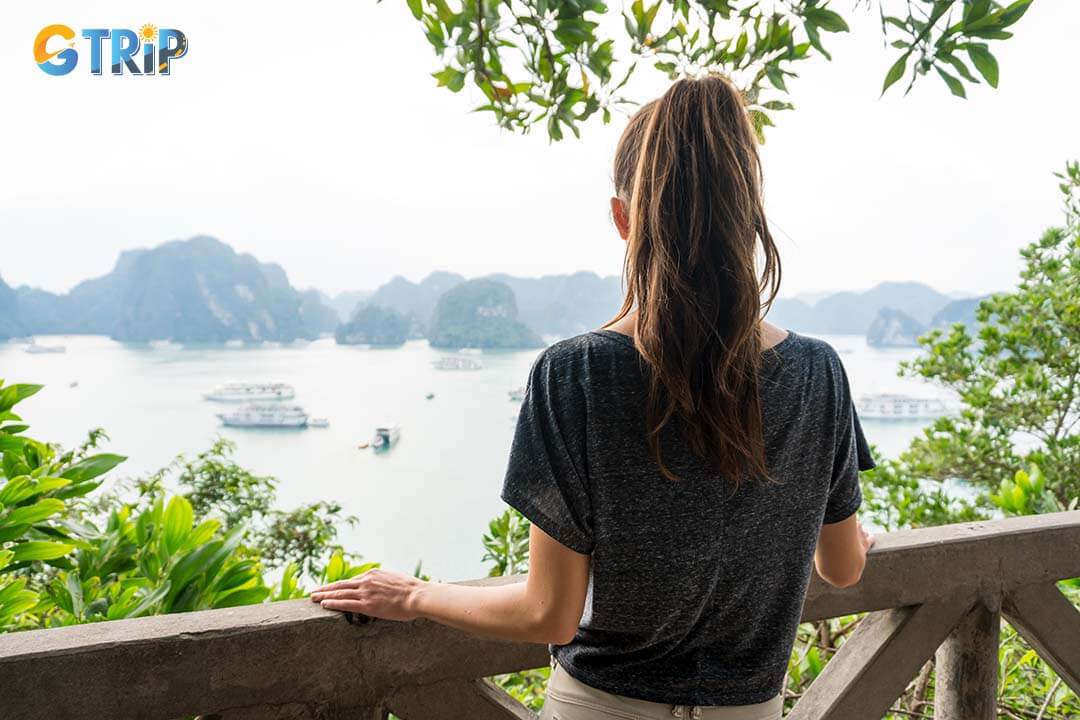 Hiking to the viewpoint and admire Ha Long Bay in Vietnam from Ti Top Island