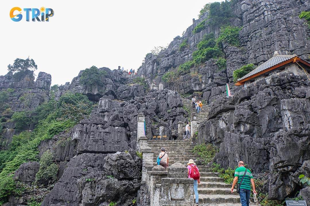 Hiking up Mua Cave provides stunning views of Ninh Binh's rice fields and limestone peaks from the top