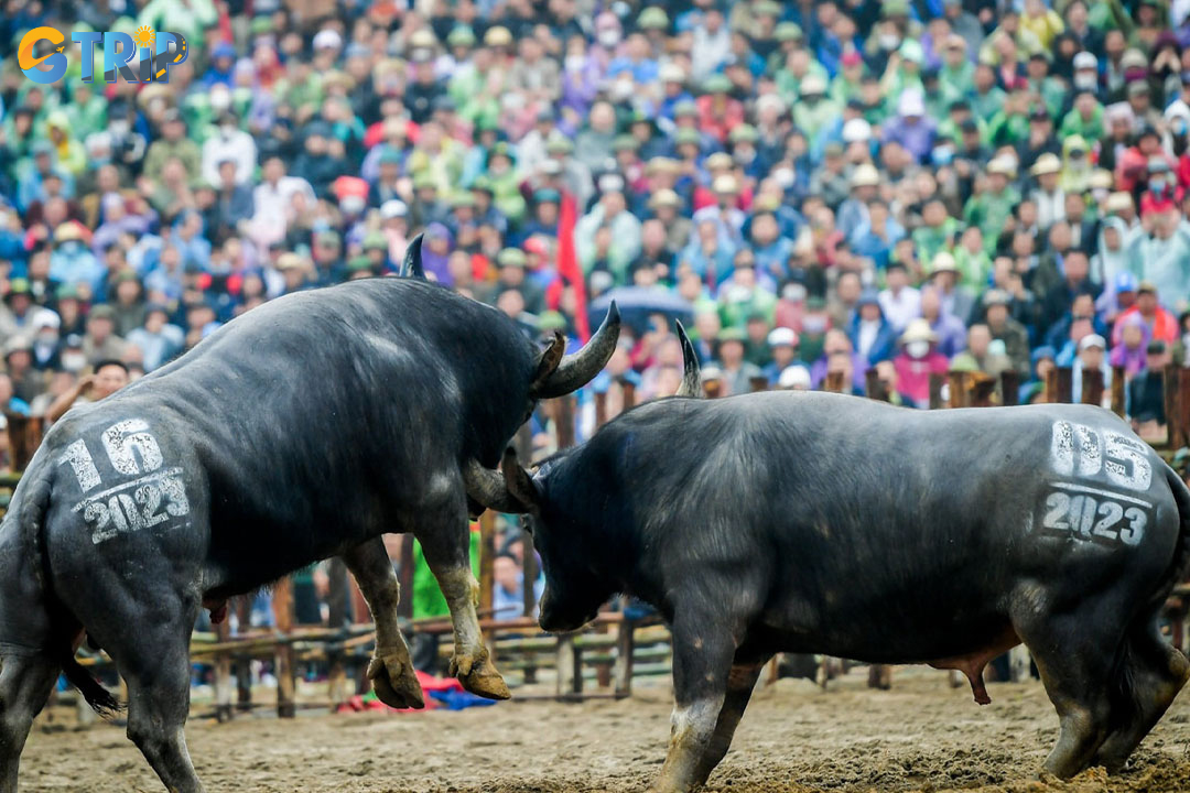 The festival has a deeply rooted history since the 2nd century BC