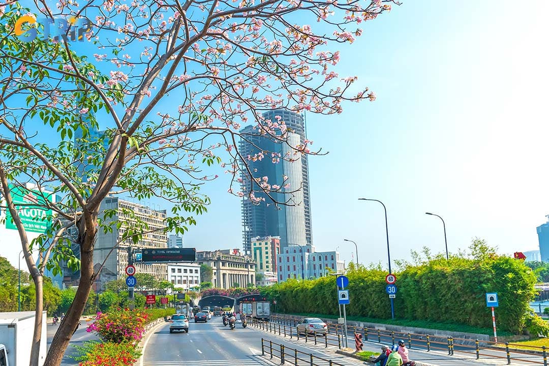 Ho Chi Minh City weather in February follows a predictable and enjoyable pattern