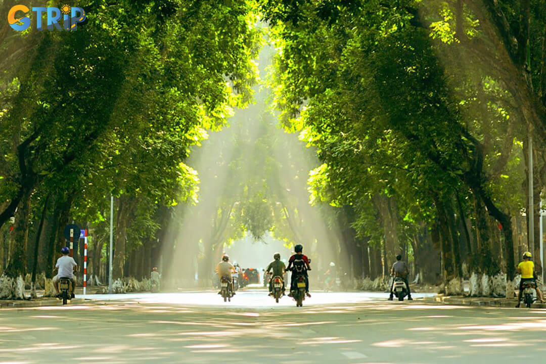 Hoang Dieu Street offers a tranquil, tree-lined stroll through Hanoi’s historic heart, flanked by iconic landmarks like the Imperial Citadel and national museums