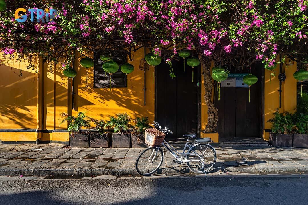 Hoi An Ancient Town blends historic architecture, rich trading heritage, and lantern-lit charm into an unforgettable cultural experience