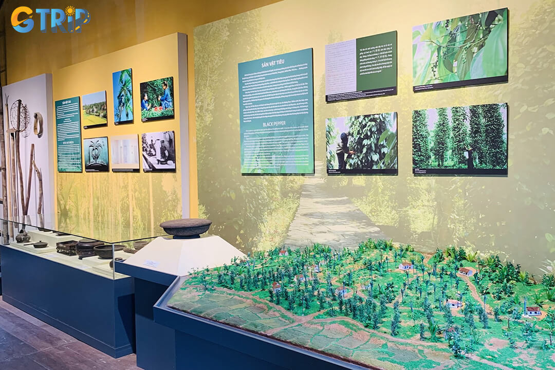 Hoi An is about 28 km from Da Nang and can be reached in 45-60 minutes by taxi, private transfer, or motorbike via the scenic coastal route