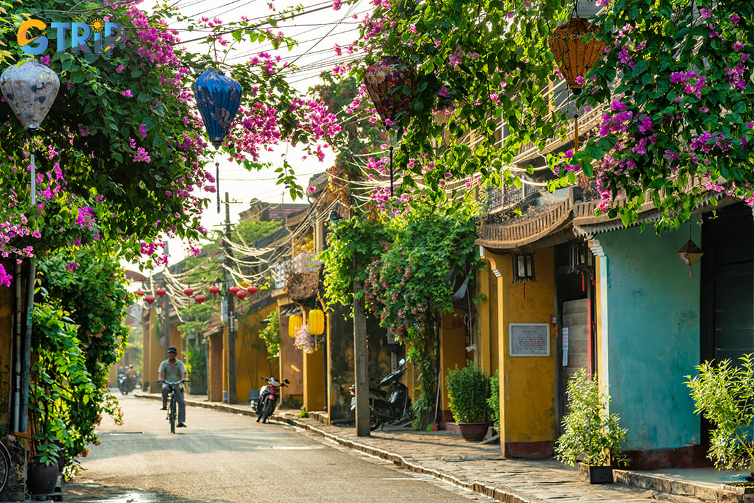 Hoi An's architecture also eloquently narrates the story of indigenous resilience and colonial encounters